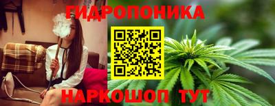 гидра Гусев